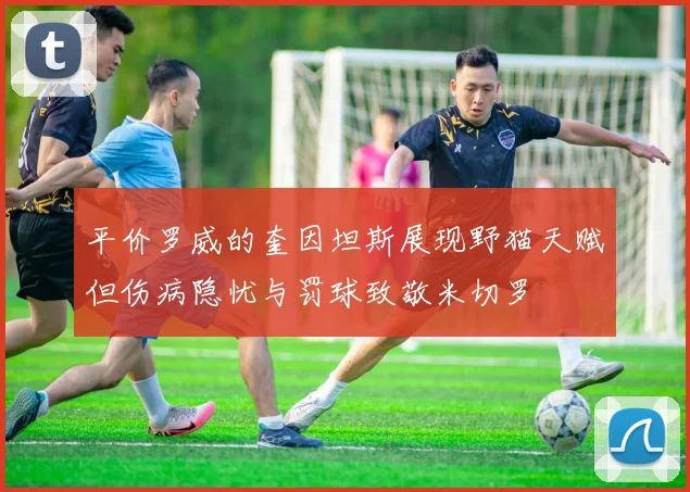 平价罗威的奎因坦斯展现野猫天赋但伤病隐忧与罚球致敬米切罗