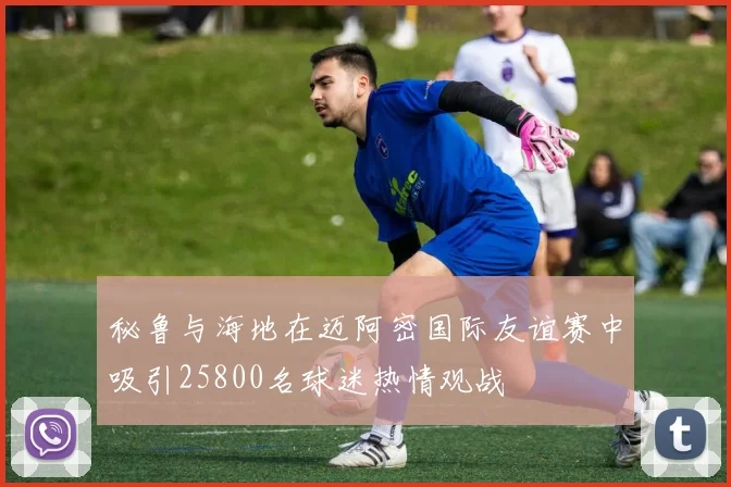 秘鲁与海地在迈阿密国际友谊赛中吸引25800名球迷热情观战