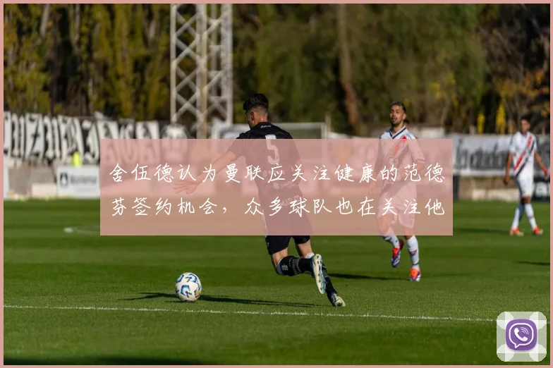 舍伍德认为曼联应关注健康的范德芬签约机会，众多球队也在关注他